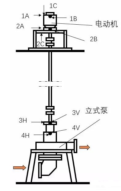 立式泵的結(jié)構(gòu)和測點布置示意圖