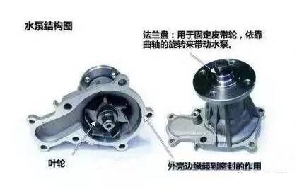 發(fā)動(dòng)機(jī)水泵結(jié)構(gòu)圖