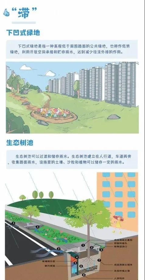 滯水