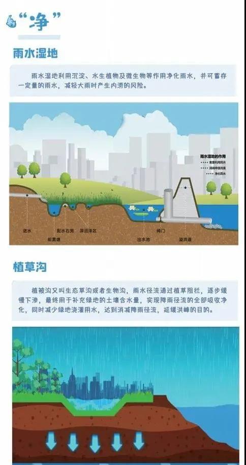凈水